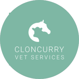 Cloncurry Vet Services logo.